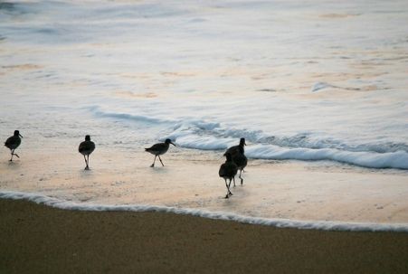 Bonny Doon Beach, Davenport, CA