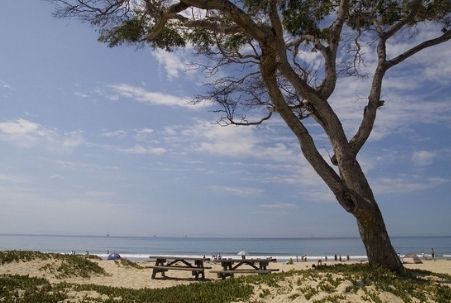 Carpenteria Beach in Santa Barbara County