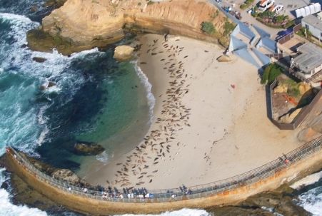 Children's Pool, La Jolla, CA