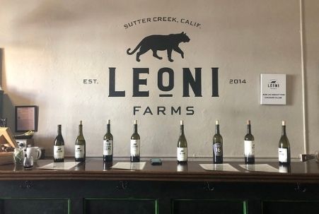 Tasting Bar at Leoni Farms Wine in Sutter Creek, CA