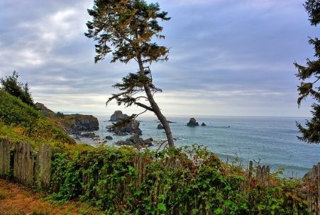 Luffenholtz Cove near Trinidad State Beach on California's North Coast