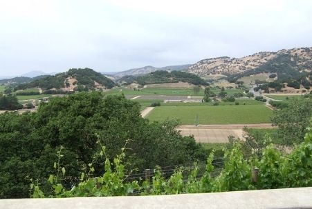 Napa Valley viewed from Silverado Winery near Yountville, CA
