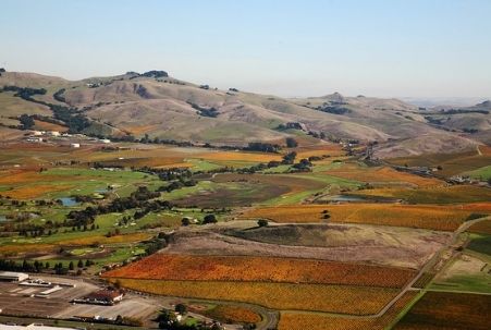 Aerial view of fall vineyards in Napa Valley, CA