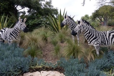 Zebras at Legoland California, near Carlsbad, CA